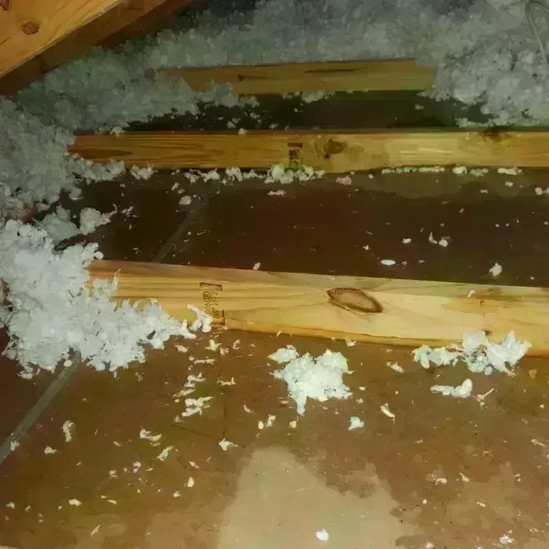 Attic Water Damage in Noblesville, IN